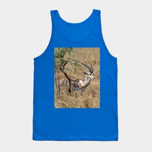 Wild Gazelle in Tanzania Tank Top